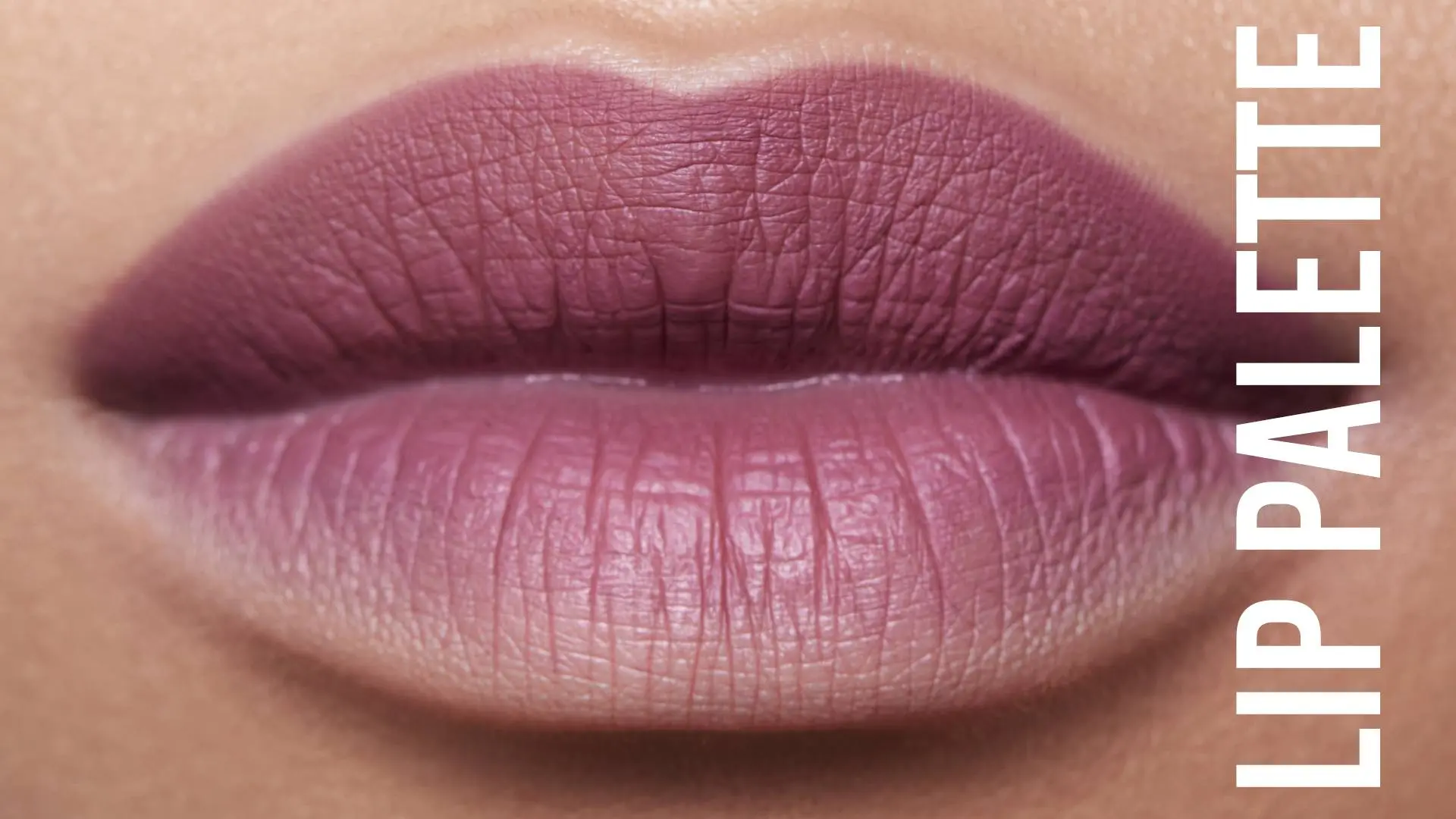 Lip Palette Danessa Myricks Lip Palette - Product Category