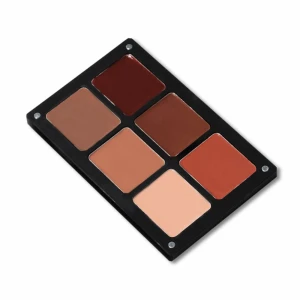 Danessa high quality Myrick Glow Perfect Cream Palette