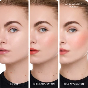 Yummy Skin 4-Ever Flushed Lip and Cheek Set | Danessa